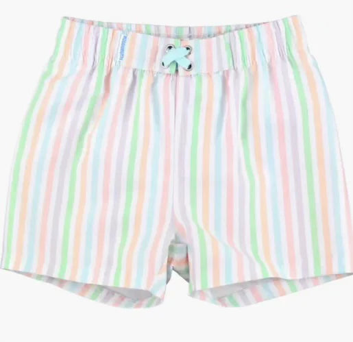 Pale Rainbow Stripe Swim Trunks